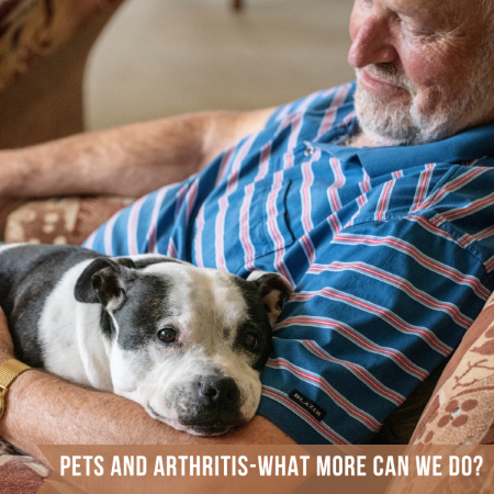 What more can we do for arthritis in pets?